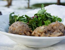 Buchweizen-Dinkelgrieß Knödel auf Pilzsauce