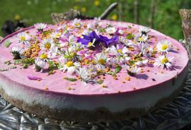 Frühsommerliche Rohkost - Erdbeertorte 